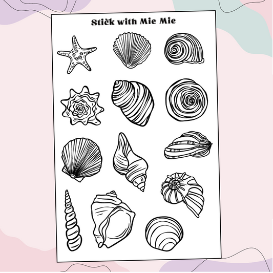 Shell Deco
